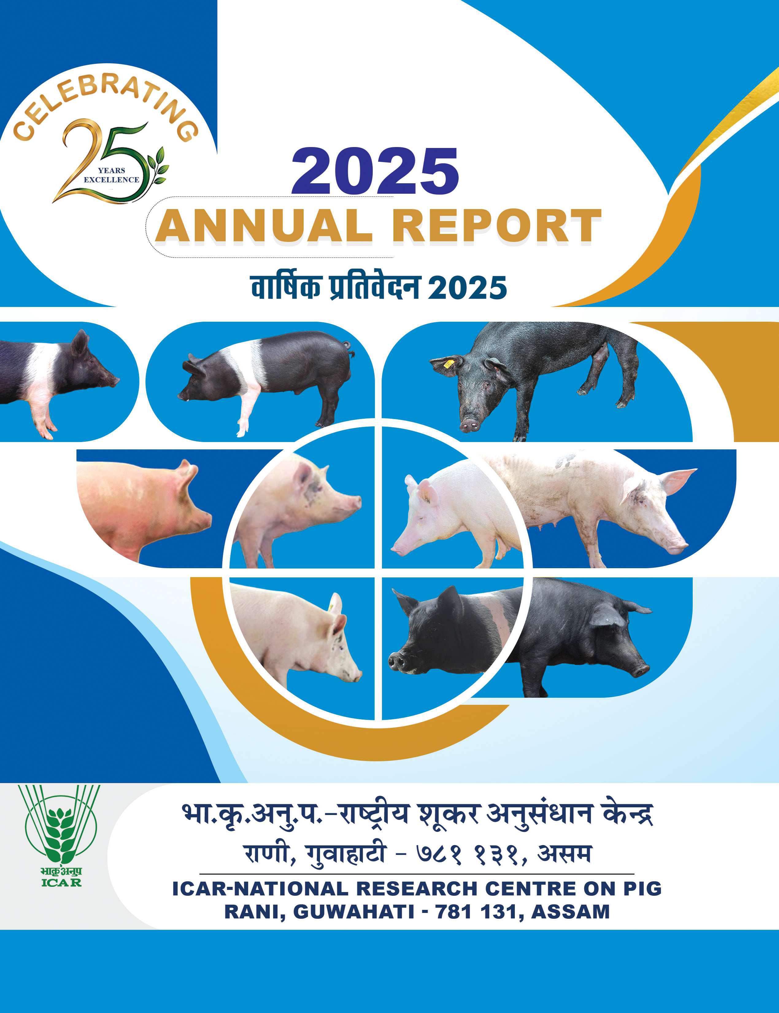 Annual Report 2025