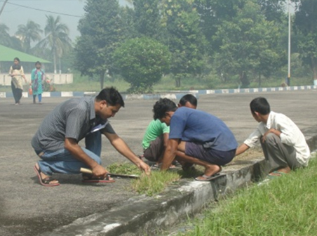 Cleanliness Drive #3