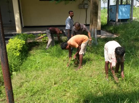 Cleanliness Drive Near the AI Laboratory and Farm Complex #1
