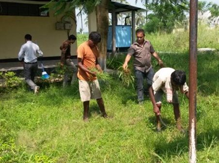 Cleanliness Drive Near the AI Laboratory and Farm Complex #2
