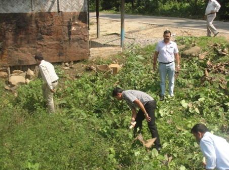 Cleanliness Drive around Office Premises #2