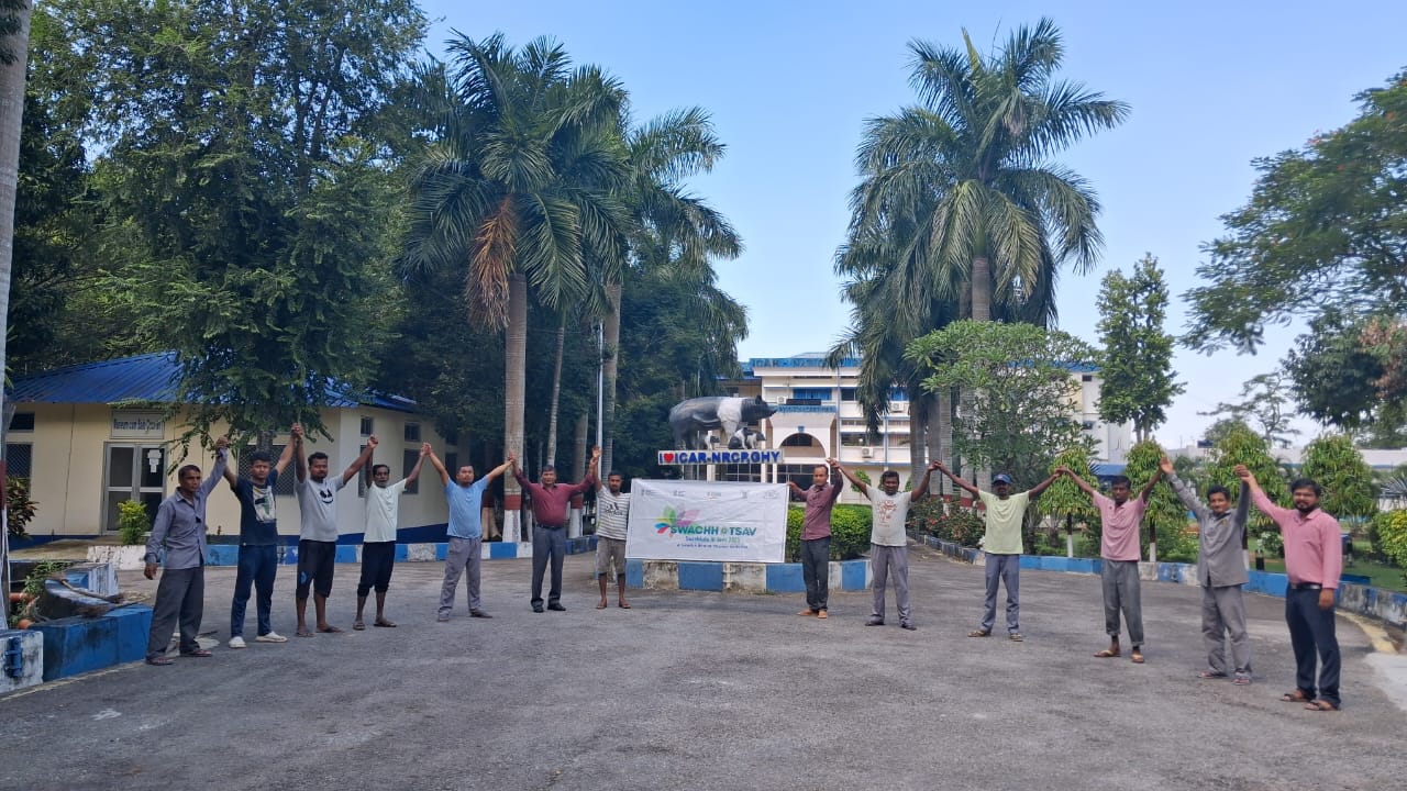 Swachhata Activity Photo 29
