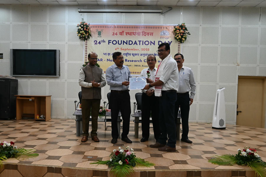 Best Publication Foundation Day 25