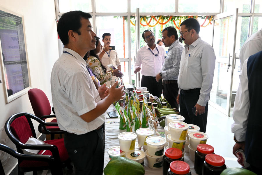 Exhibition Foundation Day 25