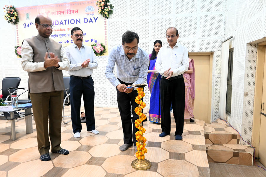 Lamp Lighting Foundation Day 25