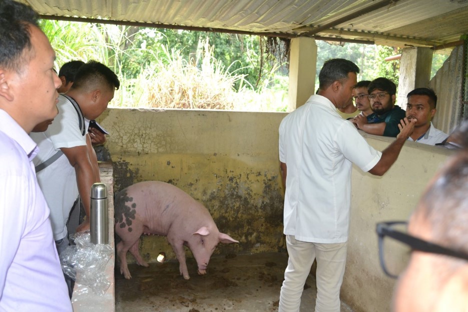 Self Sponsored Training Programme Practical Training