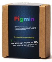PIGMIN Mineral Mixture